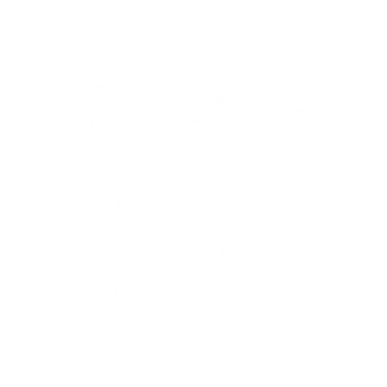 ikona drona z aparatem